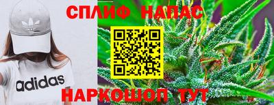 мдпв Краснознаменск