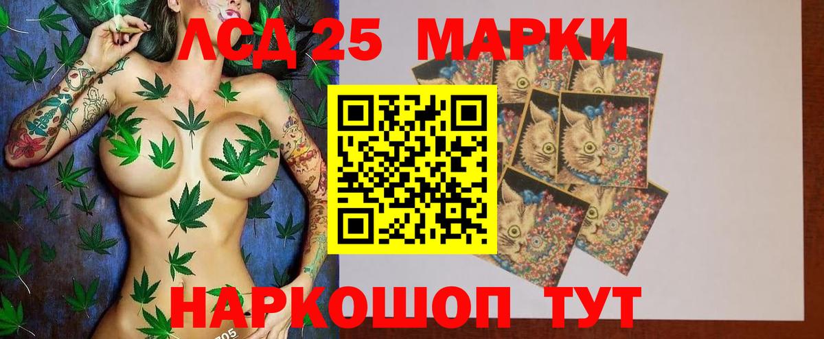 LSD-25 экстази кислота  Вход с VPN  Камышин 