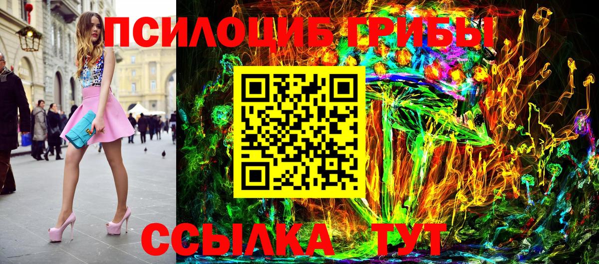 Псилоцибиновые грибы Psilocybine cubensis  Вход с VPN  Камышин 